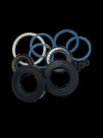 Zestaw naprawczy maglownicy (mechanizmu) (zestaw uszczelniaczy) SS9002KIT MSG