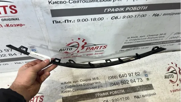  T4K5814 Jaguar