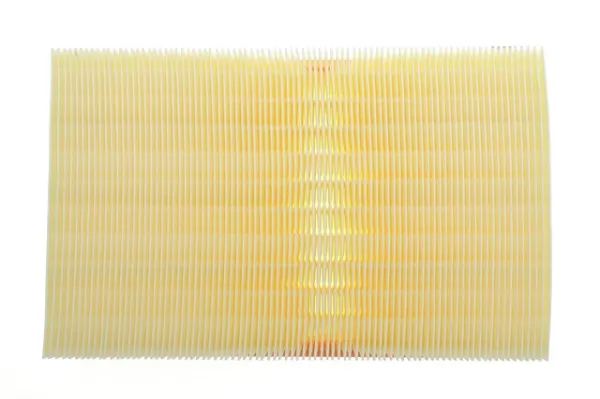 Filtr powietrza AF1897 Alpha Filter