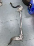 Stabilizator tylny Lexus LX URJ201