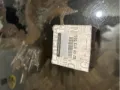 Koło zębate walcowe napędu wałka rozrządu Renault Espace JK0