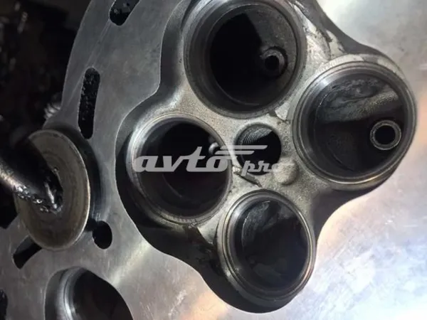 Silnik w komplecie 1900020350 Toyota