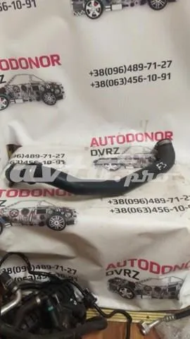  CV616C646AE Ford