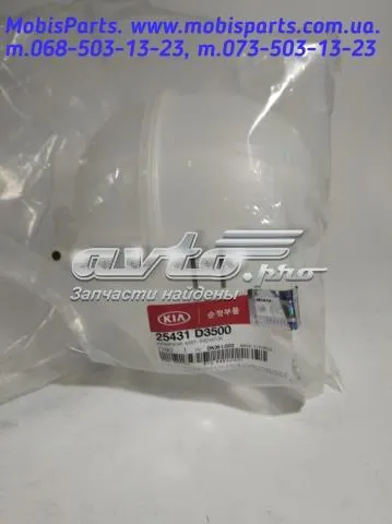 Zbiorniczek wyrównawczy układu chłodzenia KIA Sportage cena, od