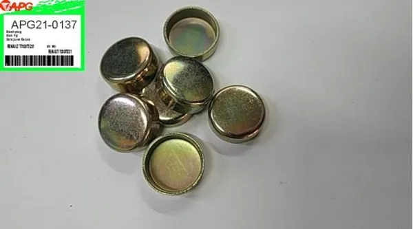 Zaślepka głowicy cylindrów/bloku cylindrów 7703075231 Renault (RVI)