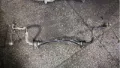 Stabilizator przedni Toyota Highlander U2