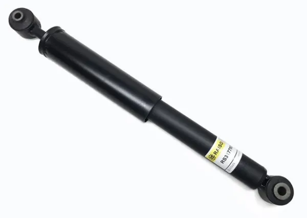 Amortyzator tylny RS317790 Raiso